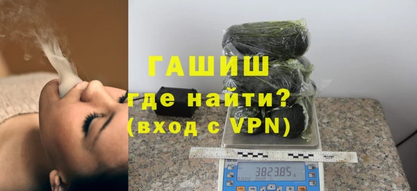 шишки Надым