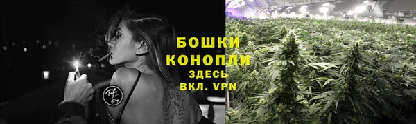 шишки Надым