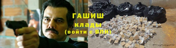 гидра Михайловка