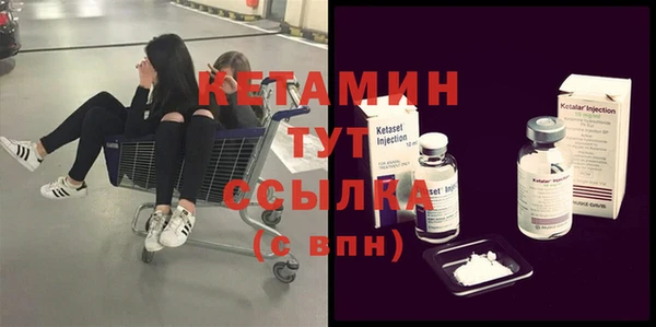 шишки Надым