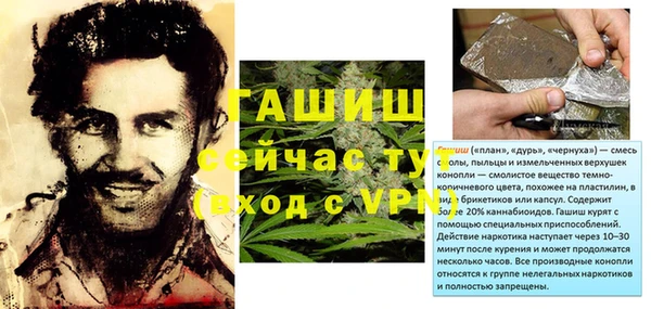 гидра Михайловка
