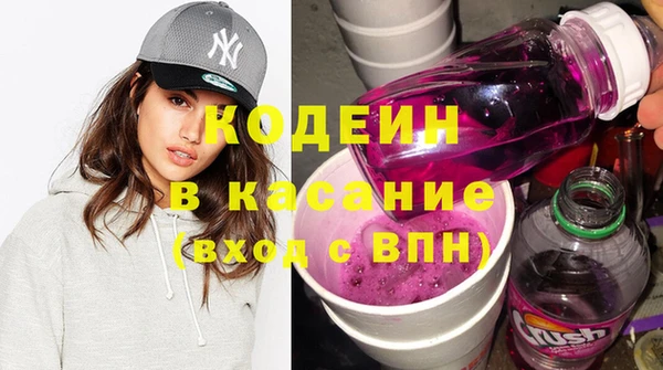 шишки Надым