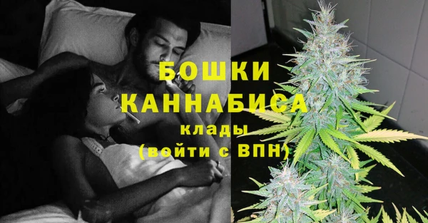 гидра Михайловка