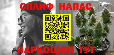 прущая мука Донской