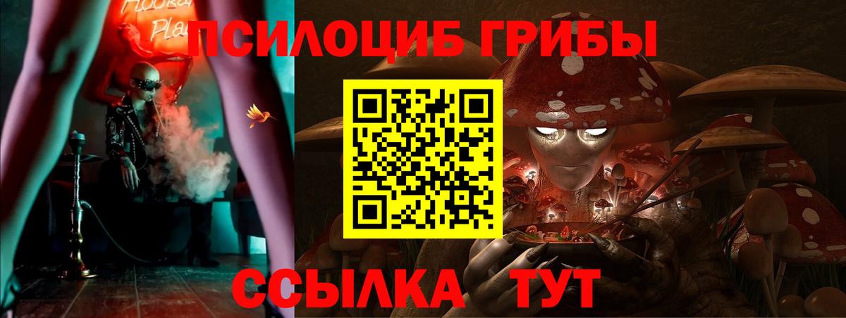 Псилоцибиновые грибы MAGIC MUSHROOMS Магадан